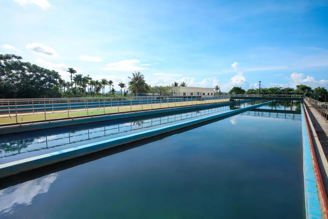 1628848779229968.jpg 雅居乐环保:守卫碧水,做美丽中国行动者2.jpg